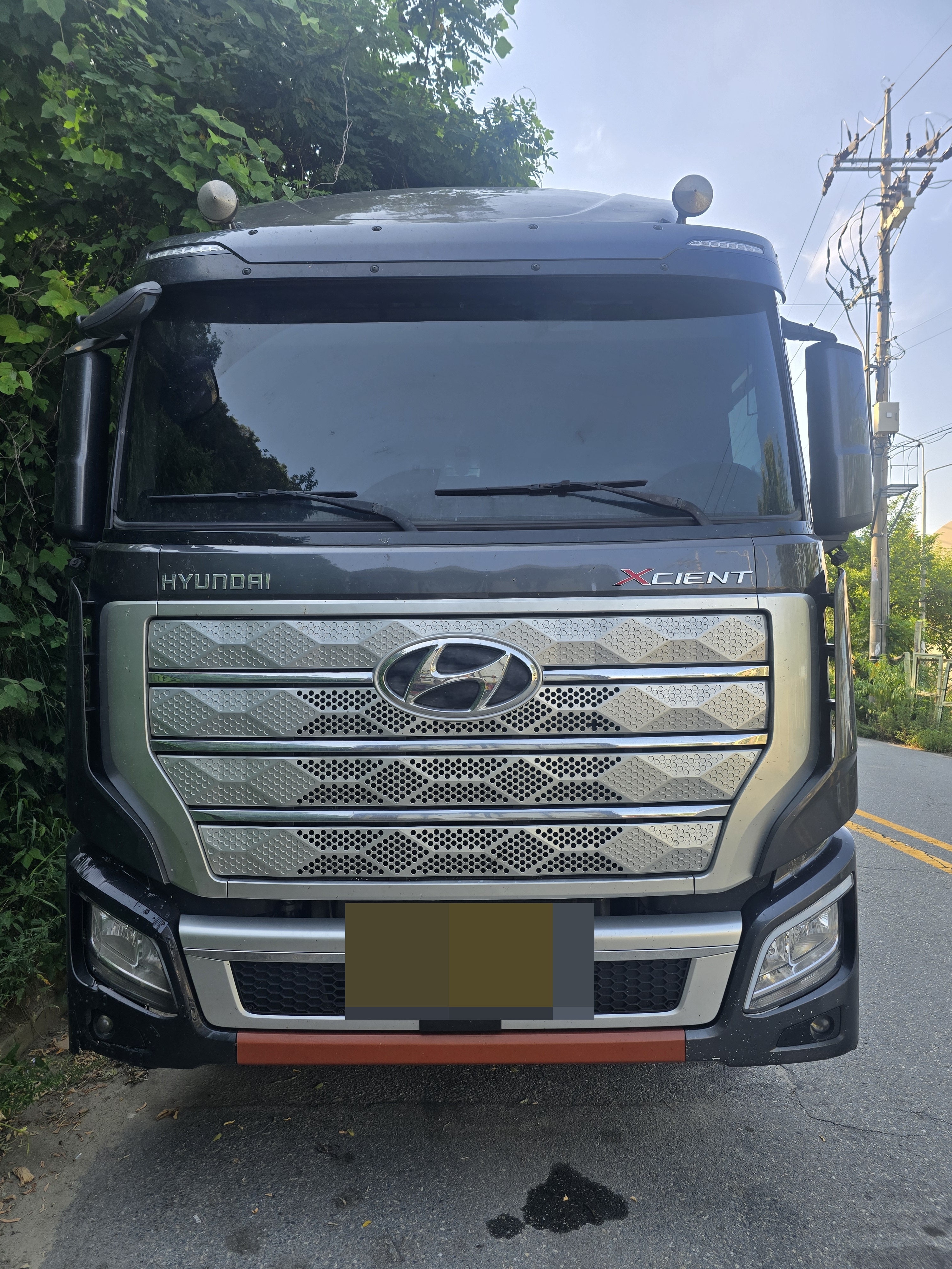 트럭앤트럭